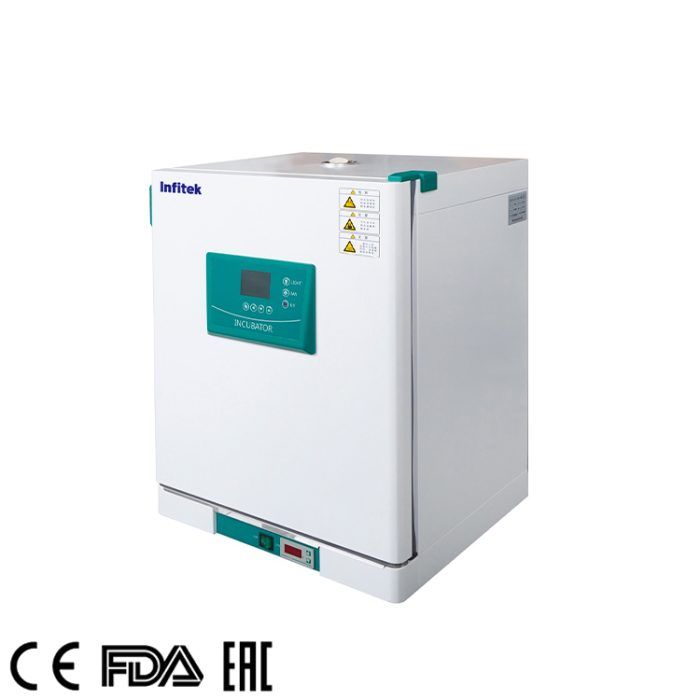 Inkubator mit konstanter Temperatur, Serie ICB-P