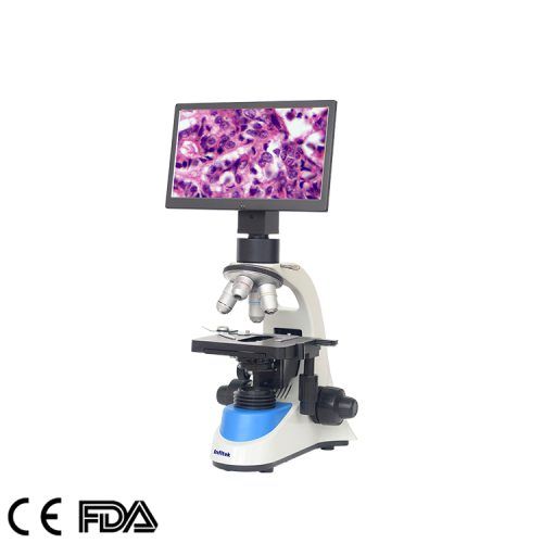 Digitales Mikroskop mit Video, MSC-V208