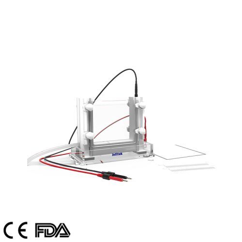 Vertikale Elektrophoresezelle, GEP-VH-SCZ02