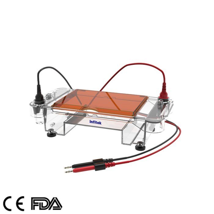 Horizontaler Elektrophoresetank, GEP-HH-SUB03