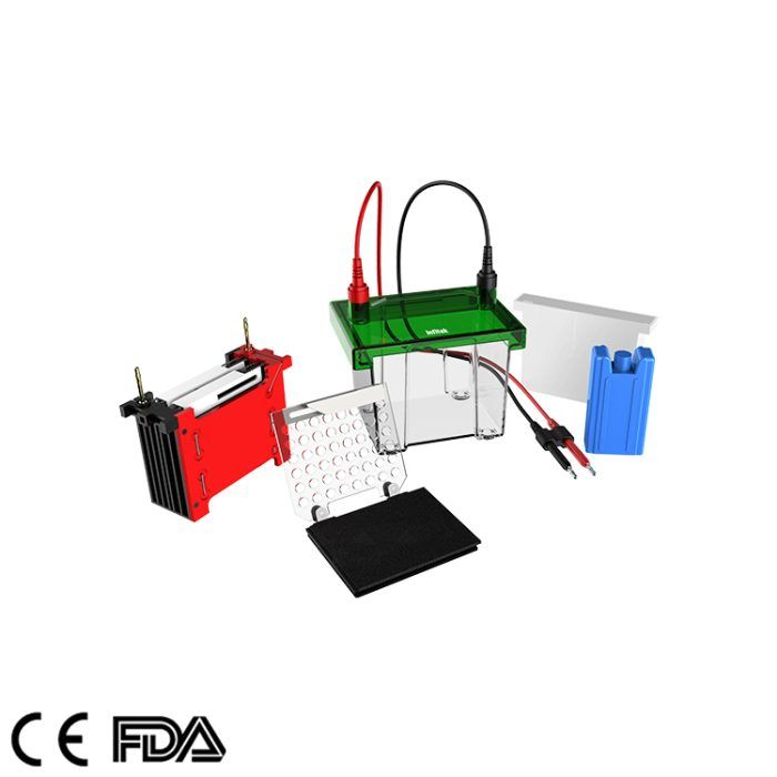 Mini-Transferelektrophoresetank, GEP-TH-ZY02