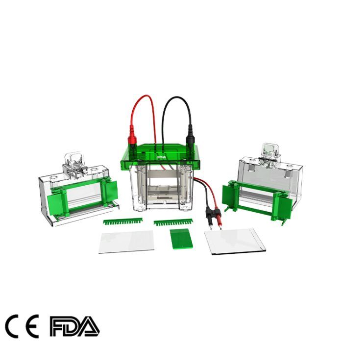 Mini-Vertikal-Elektrophoresetank, GEP-VH-1